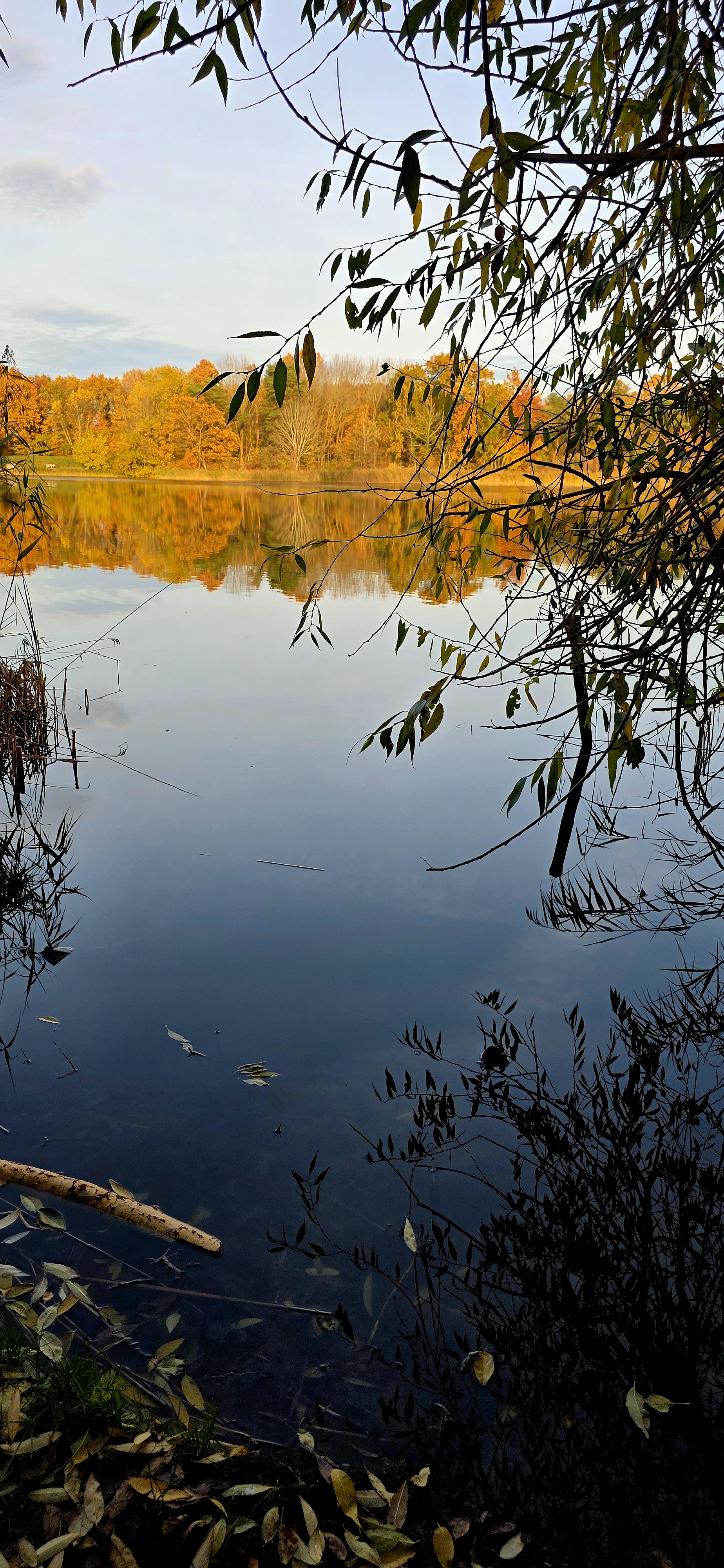Herbstlicher Blick über den Kölpinsee mit bunten Bäumen und Spiegelung im Wasser