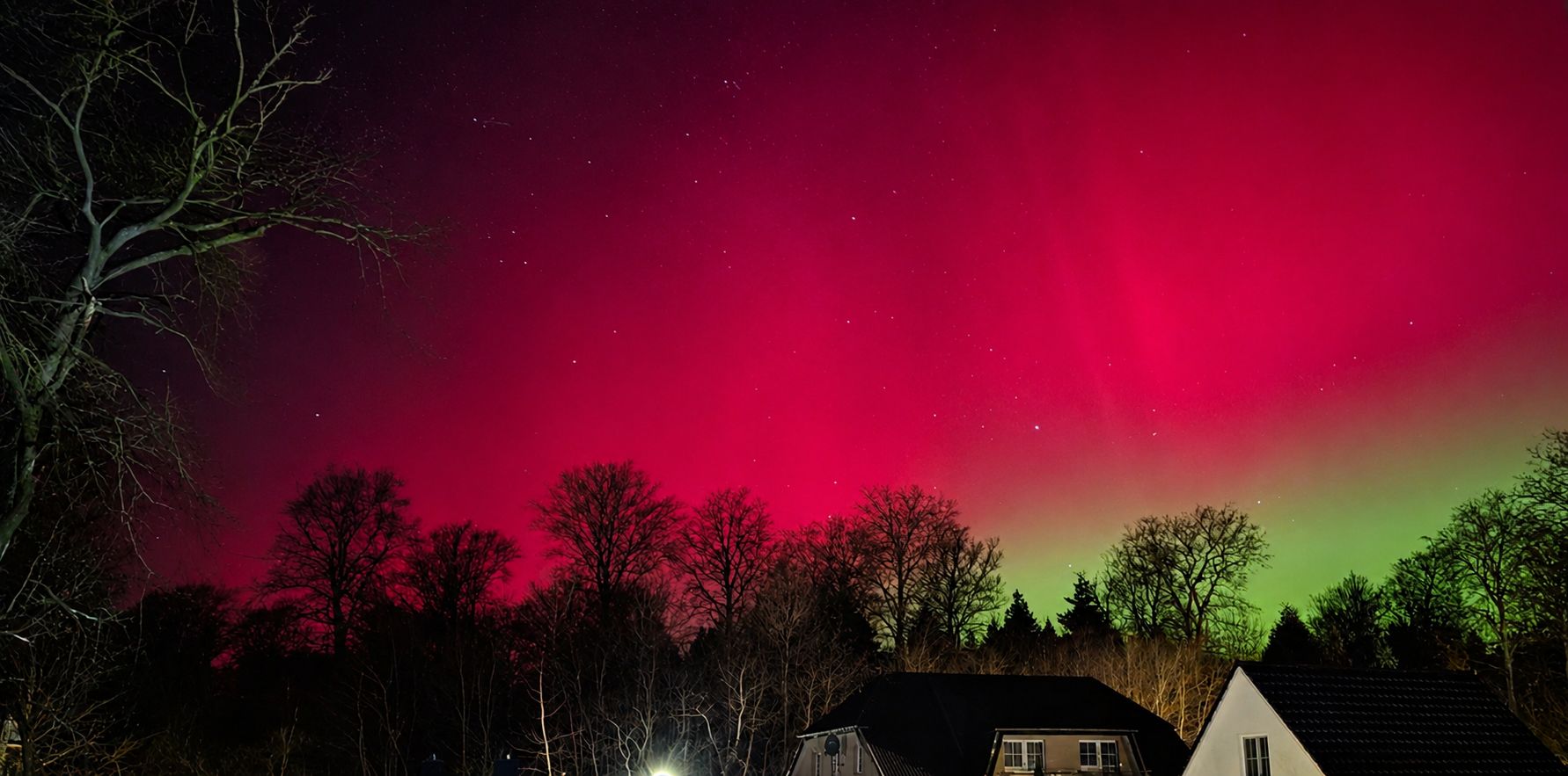 Polarlichter über Kölpinsee im Januar 2026 mit Blick auf Haus Anni und Baumwipfel